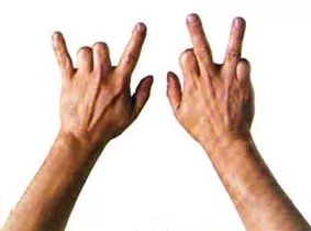 1538959538136545.jpg