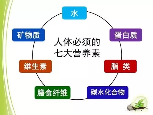 1552874421753087.jpg